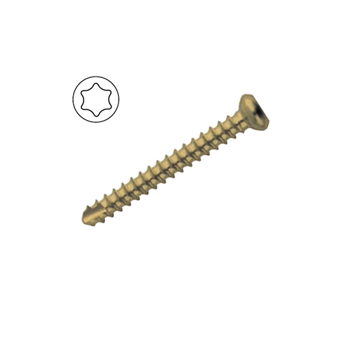 Cortex Screw 2.4mm Self Tapping Star Drive