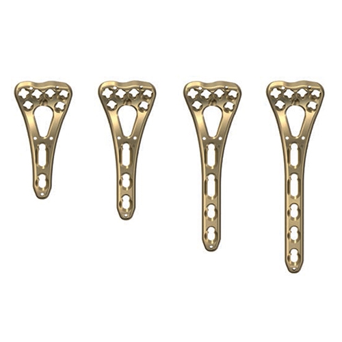 Variable Locking Screw 2.4mm Star Drive